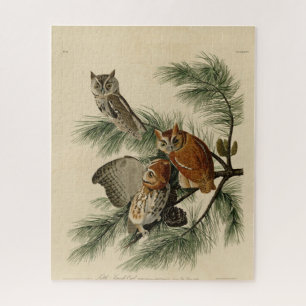 Little Screech Owl von Audubons Vögeln in Amerika Puzzle