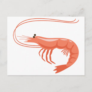 Little Shrimp Postkarte
