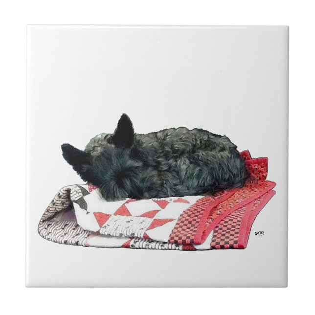 Little Sleeping Scottie Dog Fliese (Vorderseite)