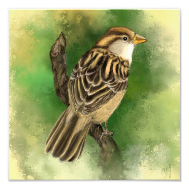 Little Sparrow Foto Print (Vorne)
