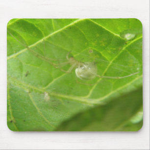 Little Spider Mousepad
