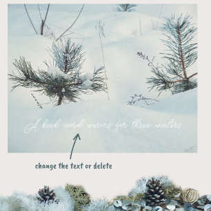 Little spruces under snow poster