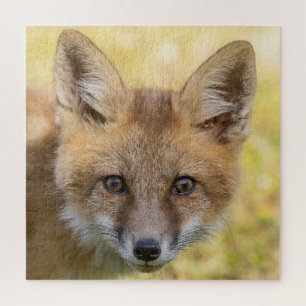 Little Süsse Fox Portrait Puzzle