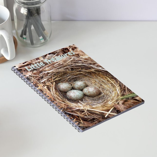 Little Treasures Bird Nest Eggs Notizblock (In Situ)