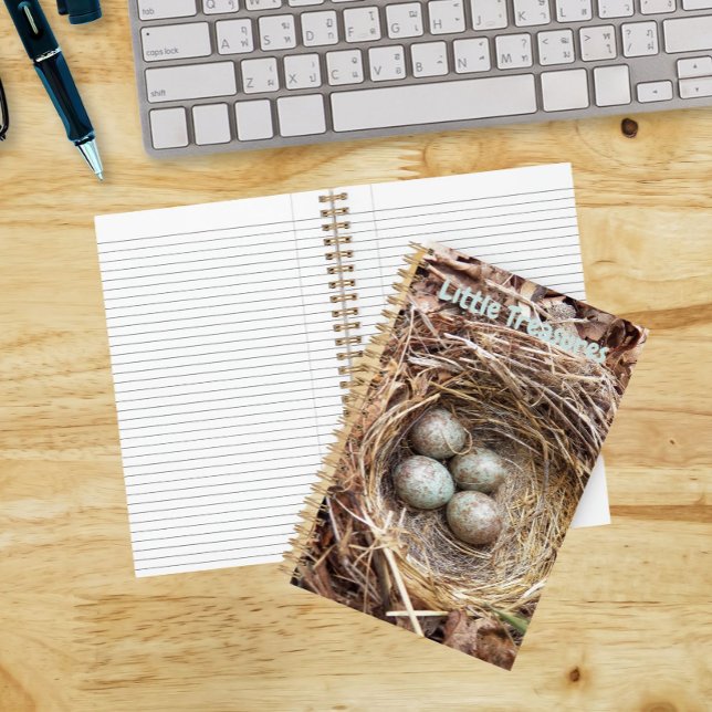 Little Treasures Bird Nest Eggs Notizbuch (In Situ)