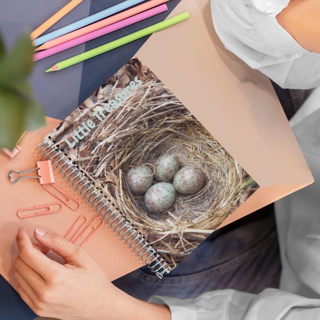 Little Treasures Bird Nest Eggs Notizbuch (In Situ)