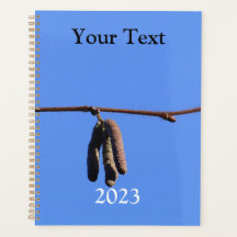 Little Twig auf Blue Sky