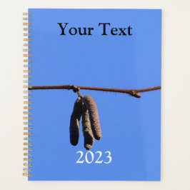 Little Twig auf Blue Sky Planer