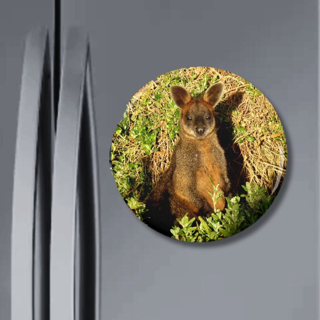 Little Wallaby Magnet (Von Creator hochgeladen)