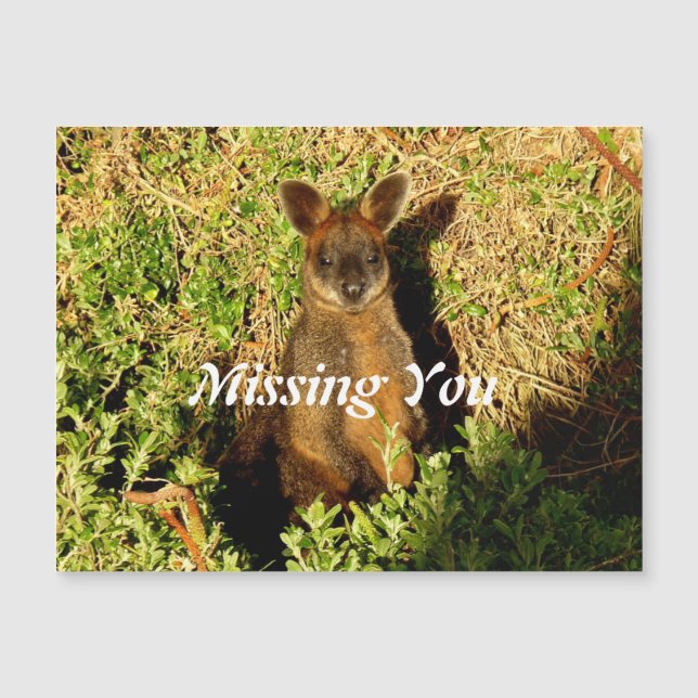 Little Wallaby Magnetkarte (Vorderseite)