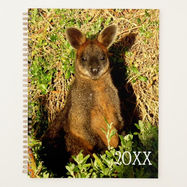 Little Wallaby Planer (Vorderseite)