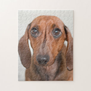 Little Weiner Dog Puzzle