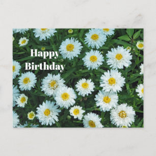 Little White Daisies Floral Foto Geburtstag Postkarte