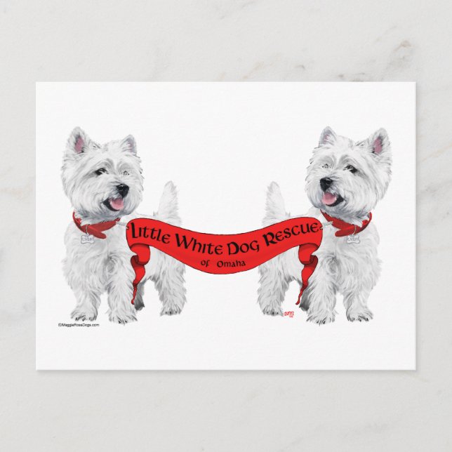 Little White Dog Rescue Postkarte (Vorderseite)