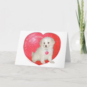 Little White Dog Rescue Valentine Feiertagskarte