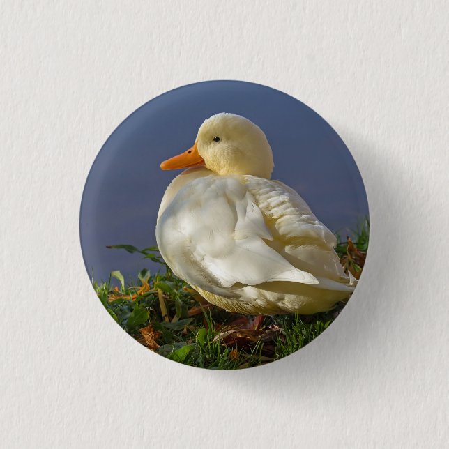 Little White Duck Button (Vorderseite)