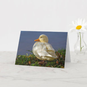 Little White Duck Karte