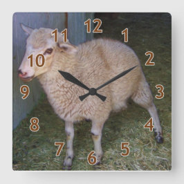 Little White Lamb Quadratische Wanduhr