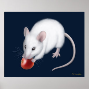 Little White Mouse Print Poster