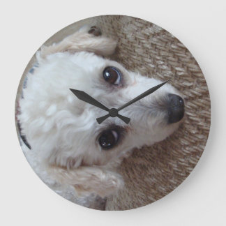 Little White Teacup Poodle Dog Große Wanduhr