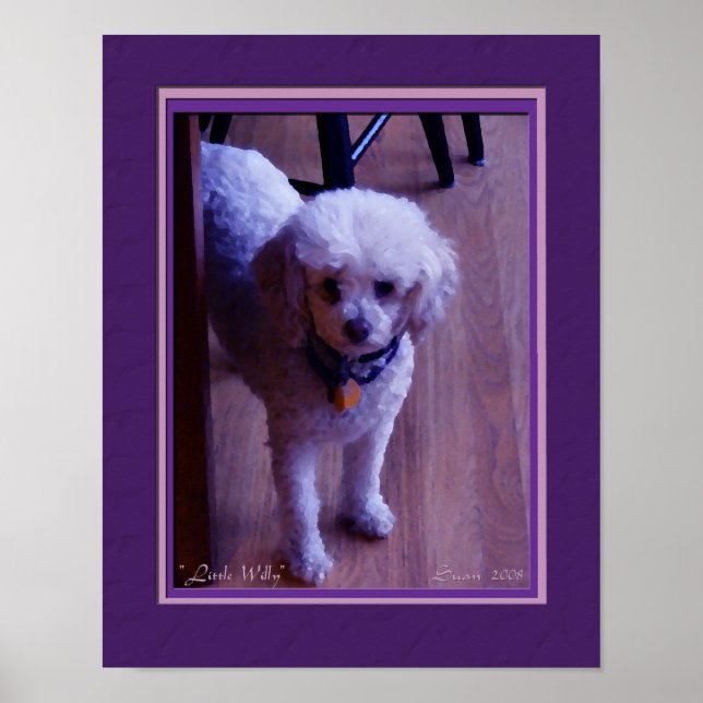 Little Willy Poster (Vorne)