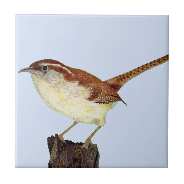 Little Wren Fliese (Vorderseite)