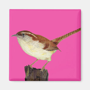 Little Wren Magnet