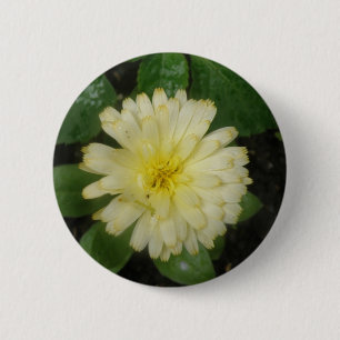 Little Yellow Marigold Button