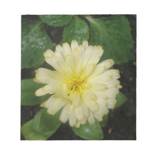 Little Yellow Marigold Notepad Notizblock