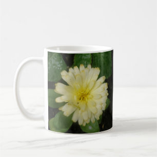Little Yellow Marigold Tasse
