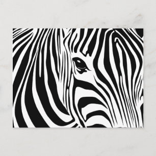 Little Zebra Postcard Postkarte