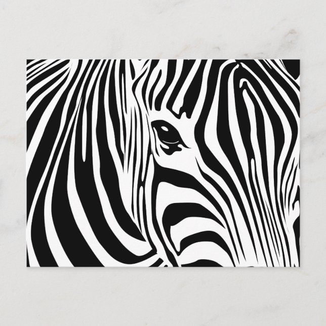 Little Zebra Postcard Postkarte (Vorderseite)