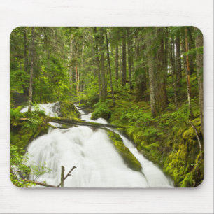 Little Zig Zag Falls   Hood National Forest Mousepad