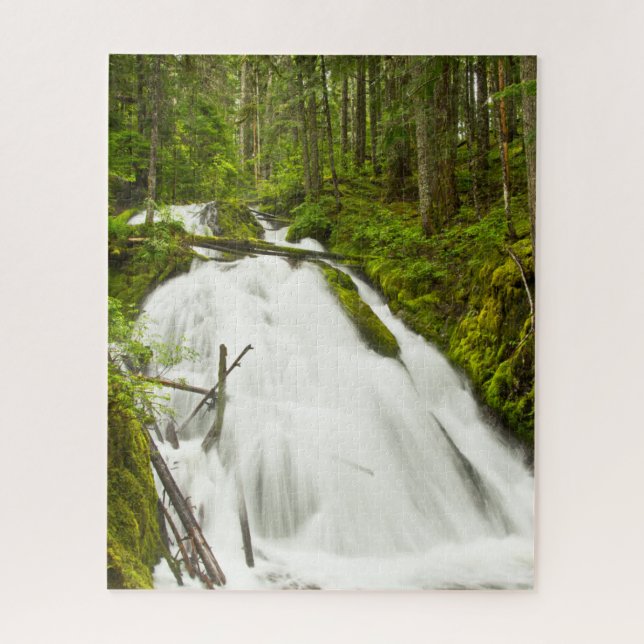 Little Zig Zag Falls | Hood National Forest Puzzle (Vertikal)