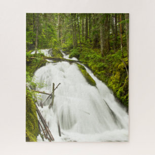 Little Zig Zag Falls   Mount Hood National Forest Puzzle