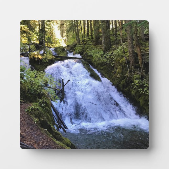 Little Zigzag Falls, OR Fotoplatte (Vorderseite)