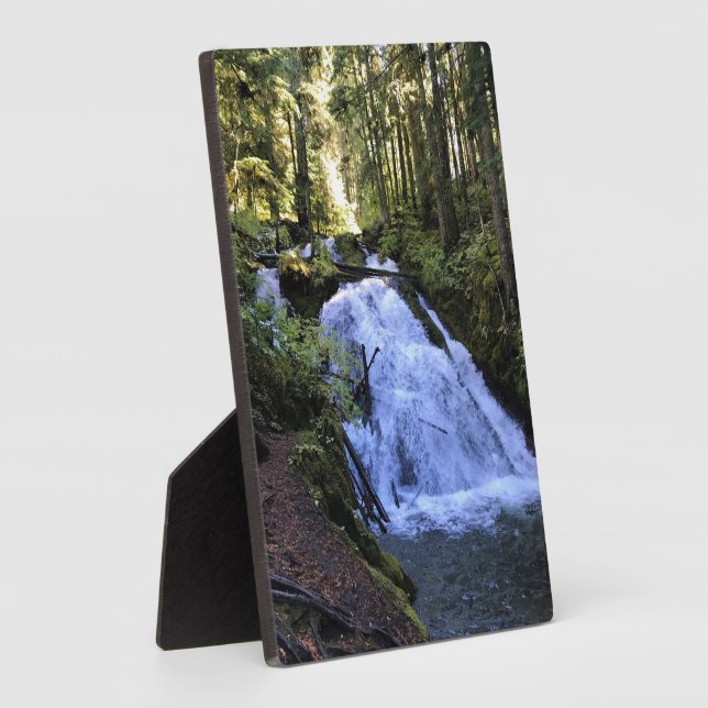 Little Zigzag Falls, OR Fotoplatte (Seite)