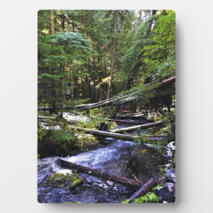 Little Zigzag Fotoplatte