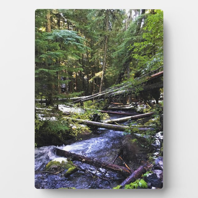 Little Zigzag Fotoplatte (Vorderseite)