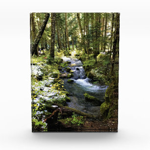 Little Zigzag River, Oregon Fotoblock