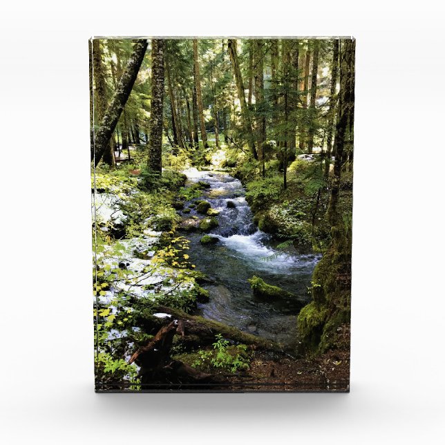 Little Zigzag River, Oregon Fotoblock (Vorderseite)