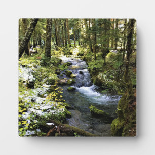 Little Zigzag River, Oregon Fotoplatte