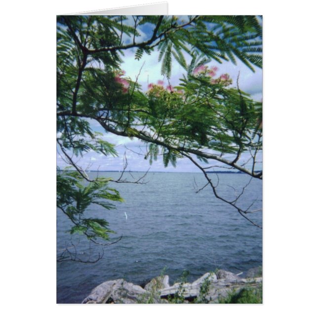 LittleBayParkBayside 001 (Vorne)