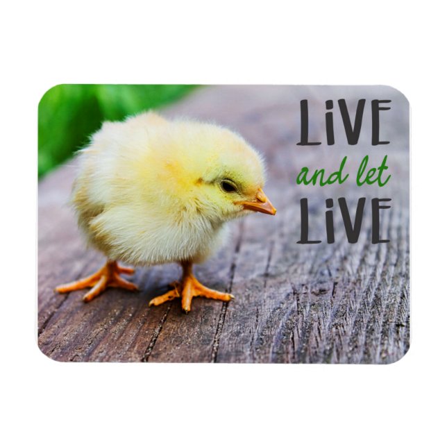 "Live and lass" vegan Magnet (Horizontal)