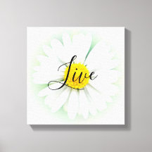 Live Daisy