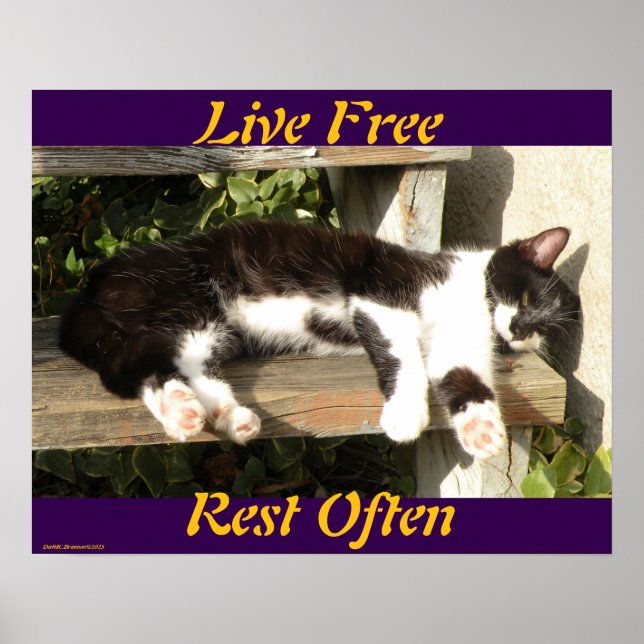 "Live Free", Smiler, cute, cat, gift Poster (Vorne)