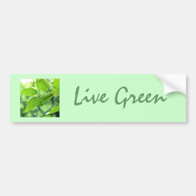 "Live Green"-Autoaufkleber Autoaufkleber (Vorne)