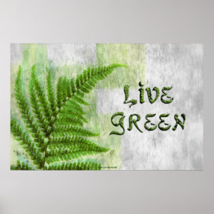 LIVE GREEN Environmental Öko Art Poster