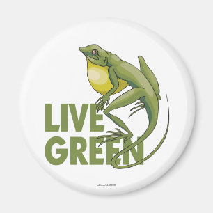 Live Green Magnet
