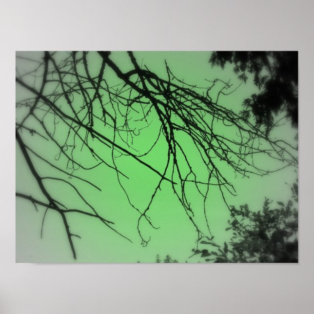 Live Green Poster (Vorne)